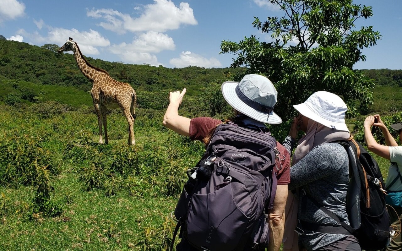 Walking safari in National Park